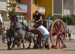 Fiera