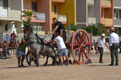 Fiera