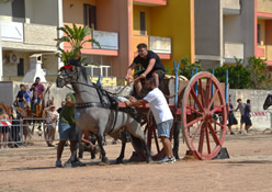 Fiera