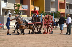 Fiera