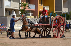 Fiera