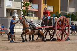Fiera