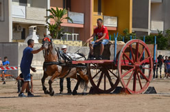 Fiera