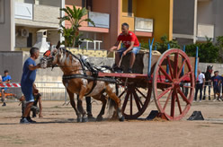 Fiera