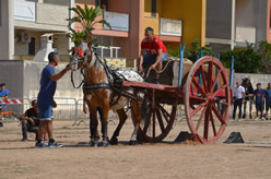 Fiera