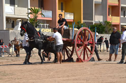 Fiera