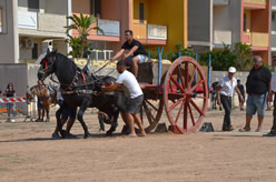 Fiera
