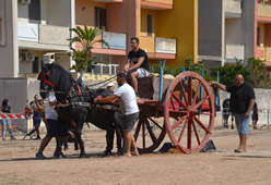 Fiera