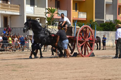 Fiera