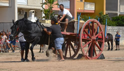 Fiera