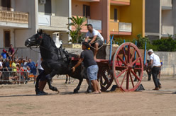 Fiera