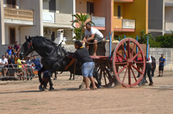 Fiera