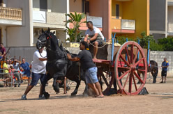 Fiera