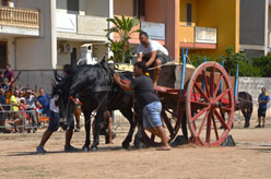 Fiera