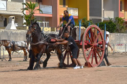 Fiera