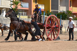 Fiera