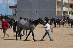 Fiera