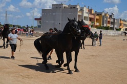 Fiera