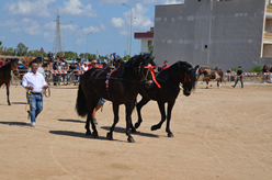 Fiera