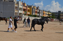 Fiera