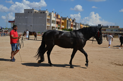 Fiera