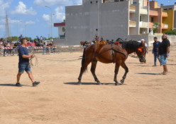 Fiera