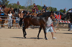 Fiera