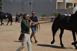 Fiera