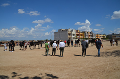 Fiera