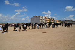 Fiera