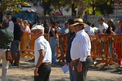 Fiera