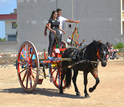 Fiera