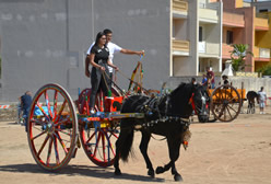 Fiera