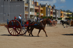 Fiera