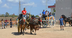 Fiera
