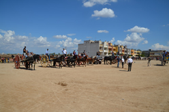 Fiera