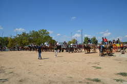 Fiera