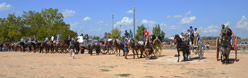 Fiera