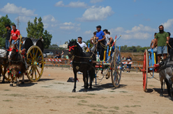 Fiera