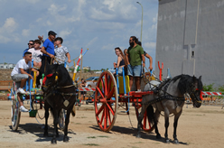 Fiera