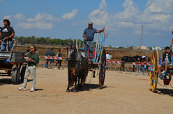 Fiera