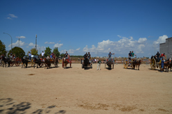 Fiera