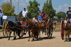 Fiera