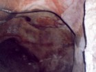 Il frantoio ipogeo