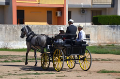 Sfilata