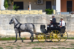 Sfilata