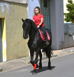 Sfilata