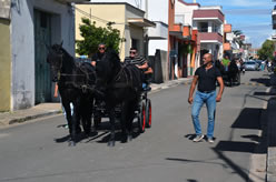 Sfilata