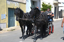 Sfilata