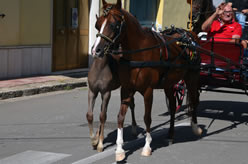 Sfilata